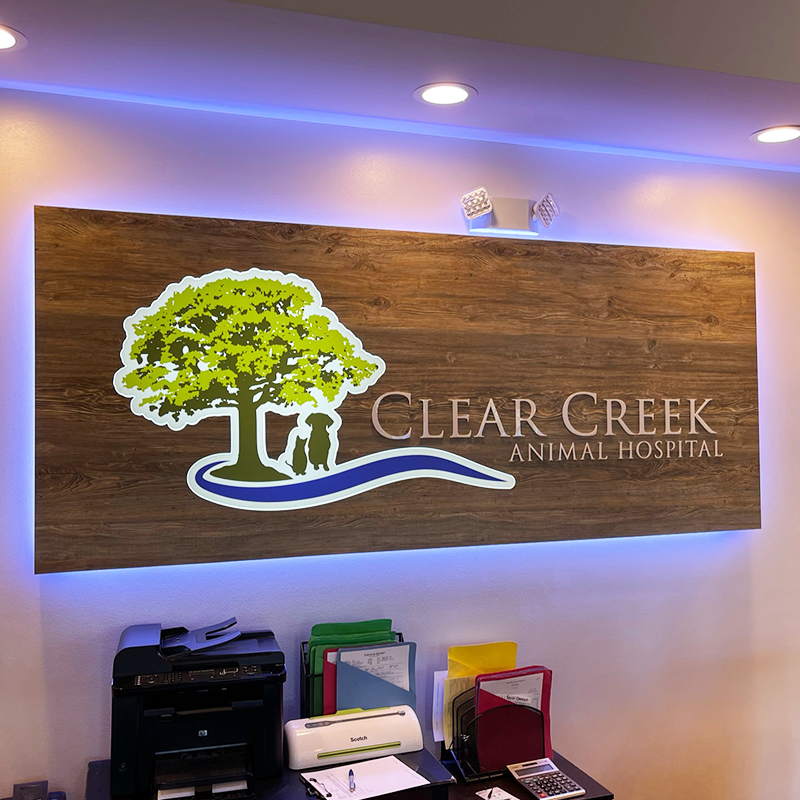 Custom Color Changing LED Lobby Sign for Business