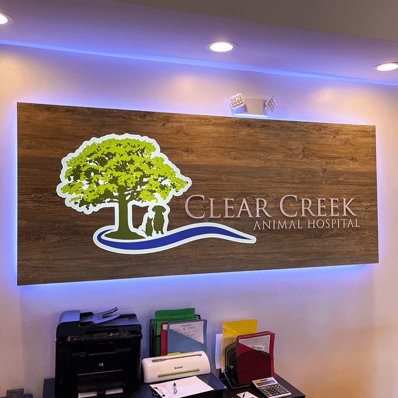 Custom LED Lighted Lobby Sign for Charlotte Business
