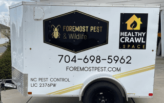 Vehicle Wraps & Graphics